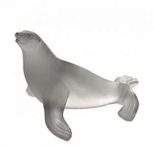 Grey sea lion