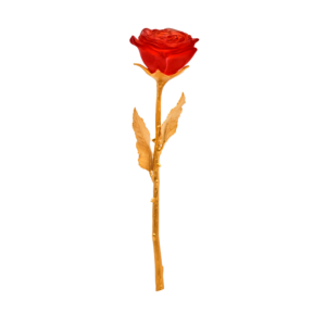Red eternal rose
