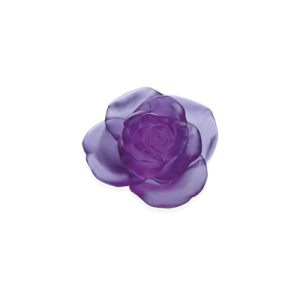 Rose passion UV flower
